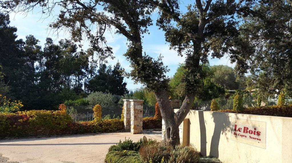 Villa Le Bois De Capra Scorsa Belgodère Exterior foto